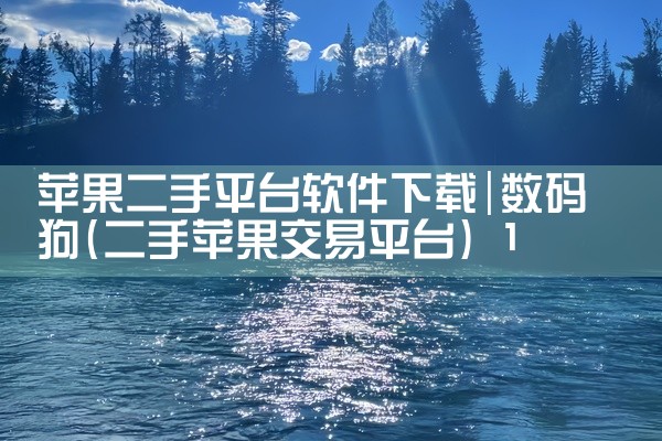 苹果二手平台软件下载